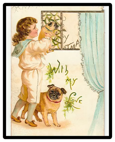 Boy in sailor suit with dogs on a Christmas card