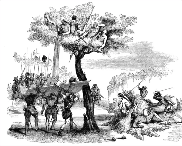 Balboa attacked by the Dabaibe Indigenous people