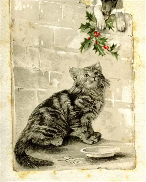 Christmas card, cat and puppy with holly