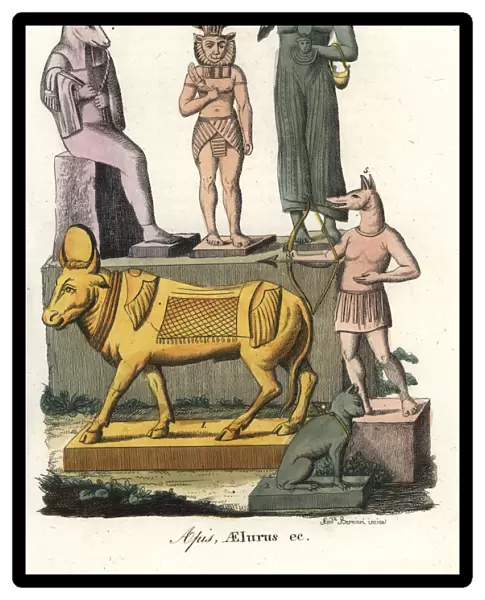 Egyptian gods: Apis, Ailuros and Anubis