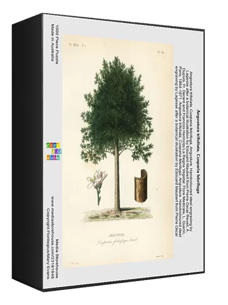 Angostura trifoliata, Cusparia febrifuga