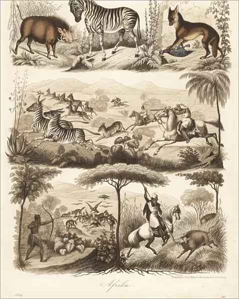 Africans hunting warthog, zebra and jackal