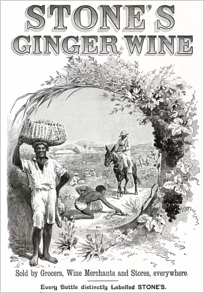 Advertisement for Stones Ginger Wine. Date: 1893