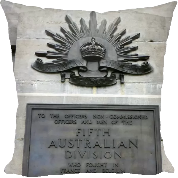 Australian 5th Division Memorial, plaque detail, Polygon Woo