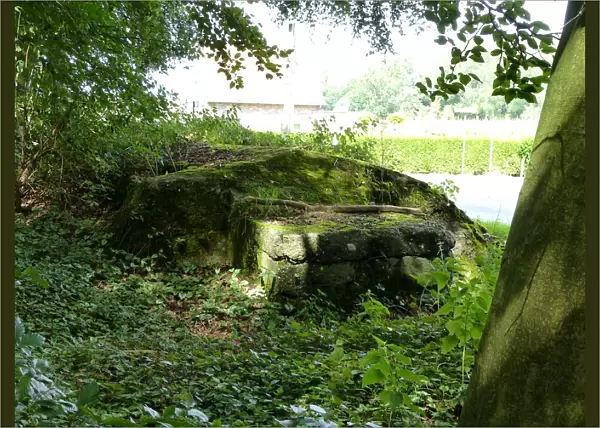 Bunker, Shrewsbury Forest, Ypres area