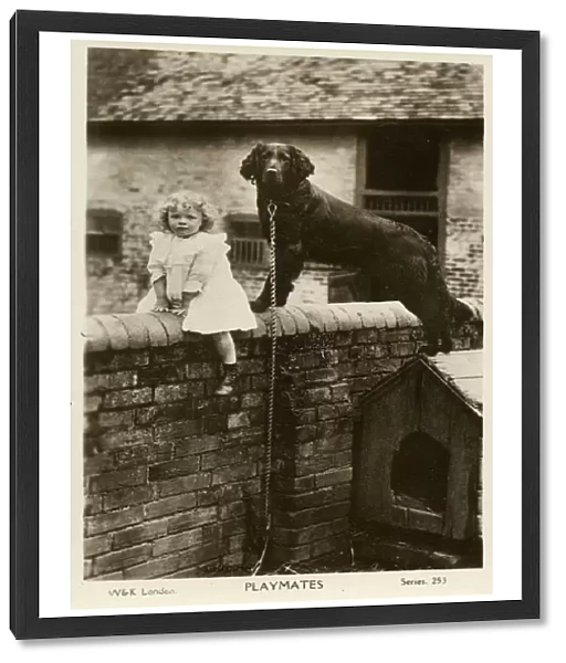 Playmates - Toddler and Pet Dog sit  /  stand on a wall