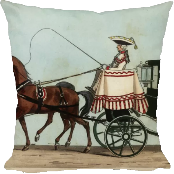Carriage of Count Carl August von Alten