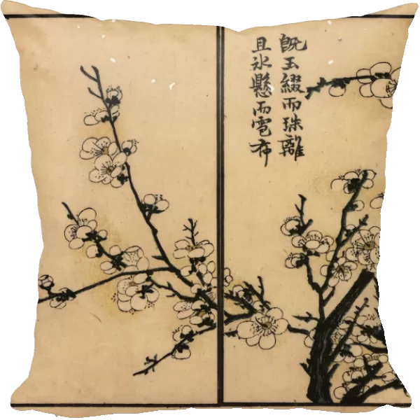 Branch of white plum blossom with calligraphy