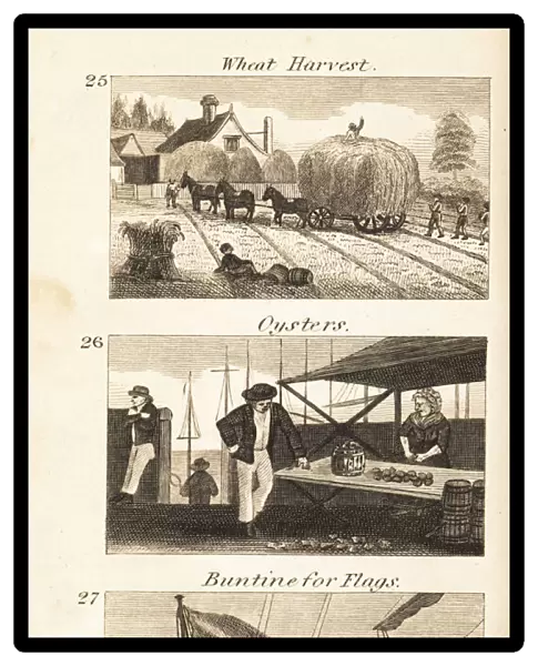 Trades in Regency England: wheat harvest, oysters