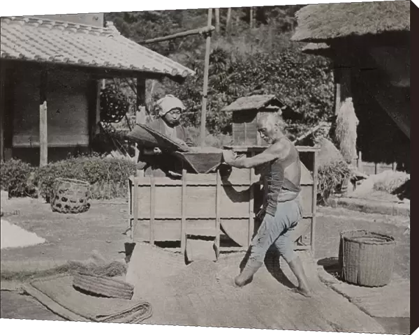 Winnowing of sifting tea to remove dust and debris, Japan