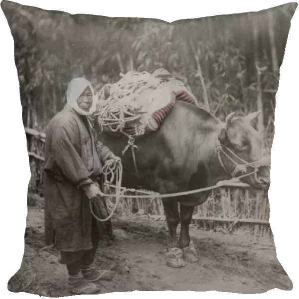 Farmer and his ox, Japan