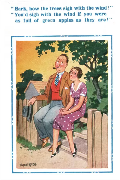 Comic postcard, Couple sitting on a fence Date: 20th century
