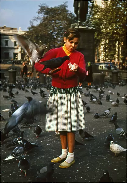 Girl feeding pigeons in Trafalgar Square, London