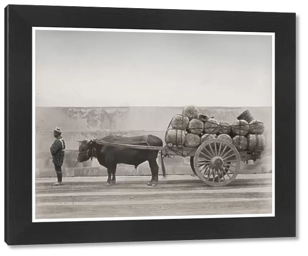 Bull, ox cart loaded with bales, Japan