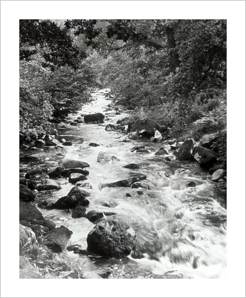 Babbling brook, North Wales