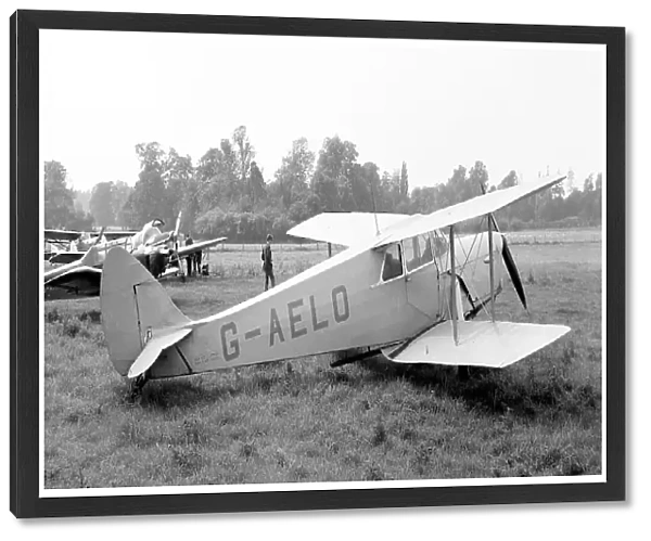 de Havilland DH. 87B Hornet Moth G-AELO