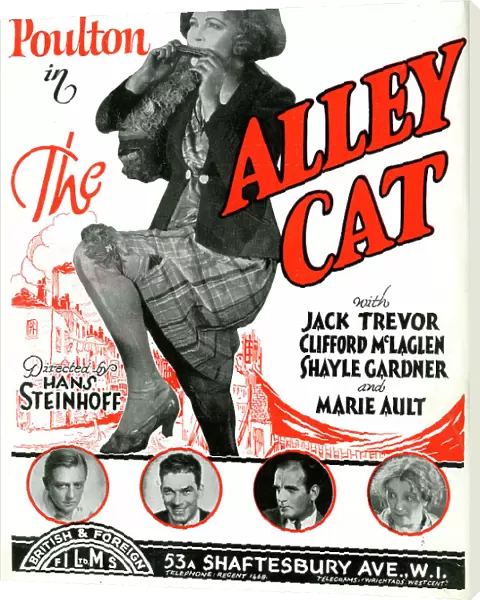 Mabel Poulton in film, The Alley Cat