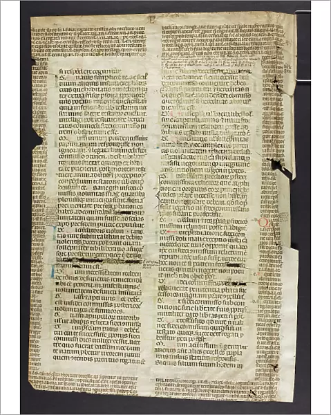 Justinian's Codex, Book VI. XXXXI (Fragments)