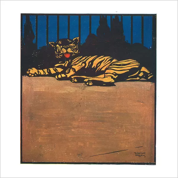 Caged Tiger