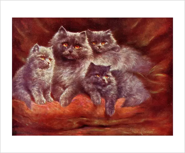 Silver Persian Cats by Lilian Cheviot