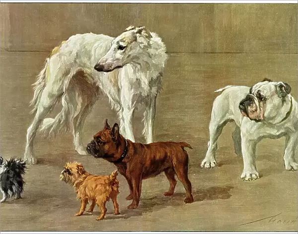 The Allies - five breeds of dog, by Maud Earl