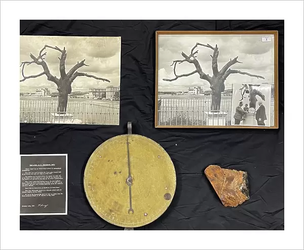 Tree and spring balance brass dial, Samuel Cody Archive
