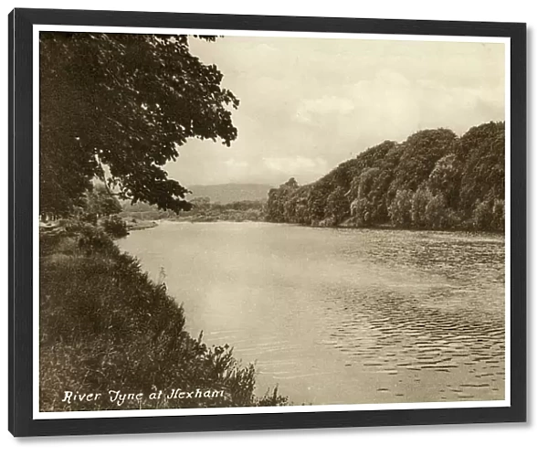 River Tyne at Hexham, Northumberland