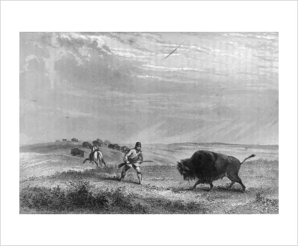 Hunting  /  Buffalo 1856
