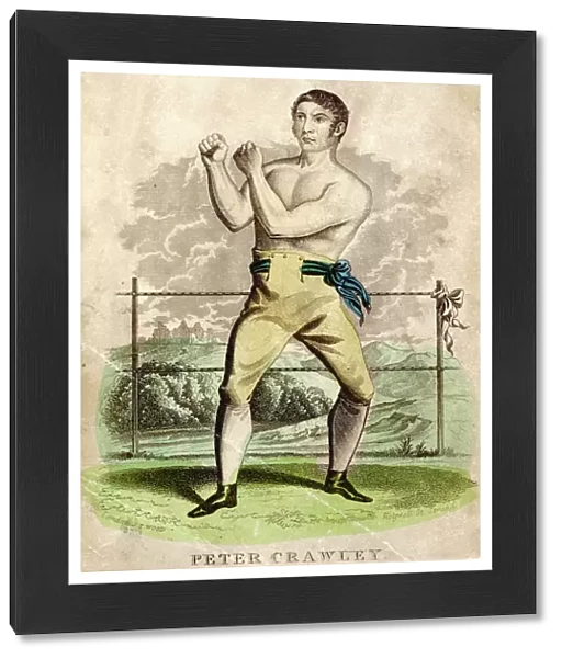 Peter Crawley, Boxer