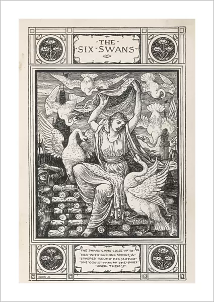 The Six Swans Crane