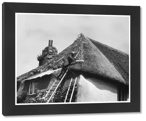 Thatching Cottage  /  Devon