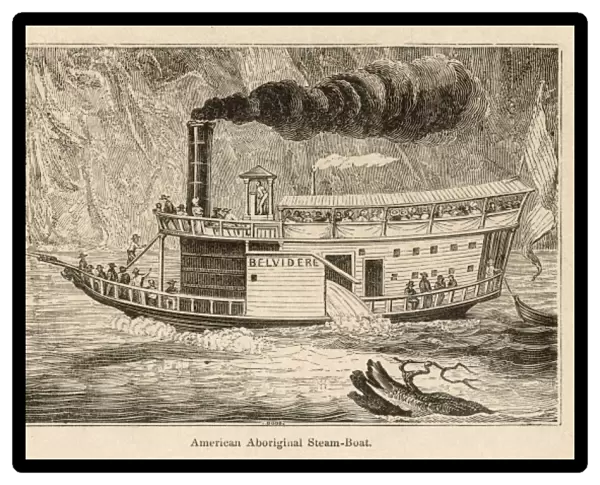 Steamship Belvidere