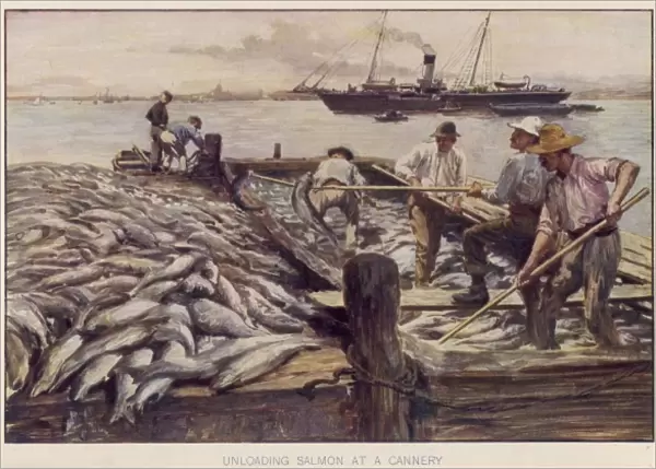 Salmon Fishing  /  Circ. 1906