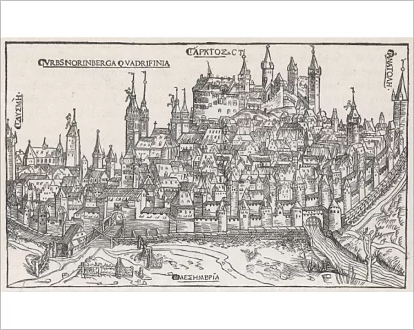 Nuremberg  /  General 1501