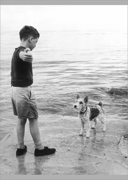 Boy and Dog  /  Beach 1963