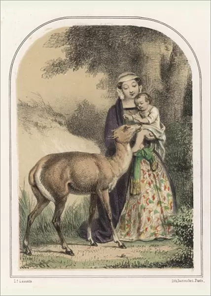 Genevieve Saved by Deer