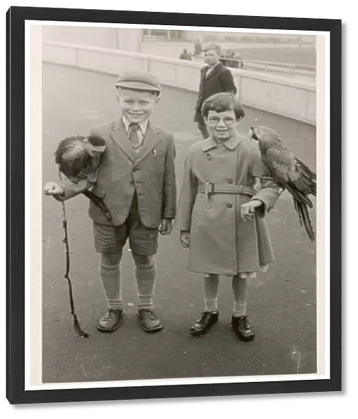 Children  /  Animals  /  1950S