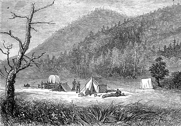 Bonanza, Sagnache County, 1880
