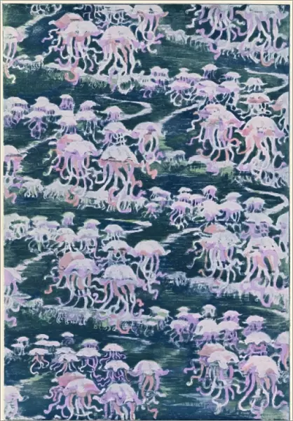 Jellyfish  /  Pink Design