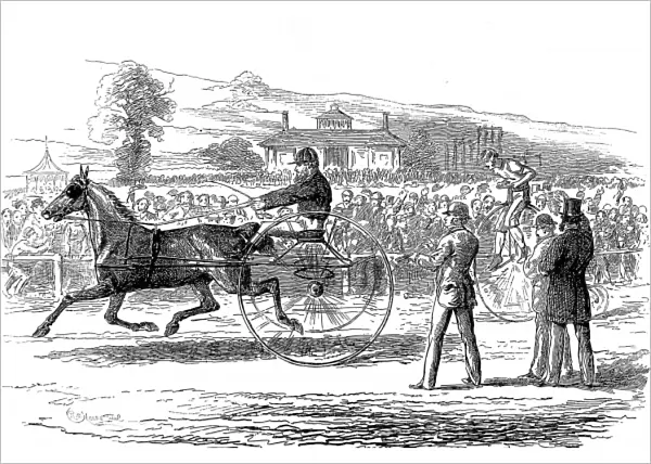 Trotting vs. Cycling Race, Alexandra Palace, 1875