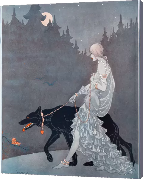 Queen of the Night by Marjorie Miller