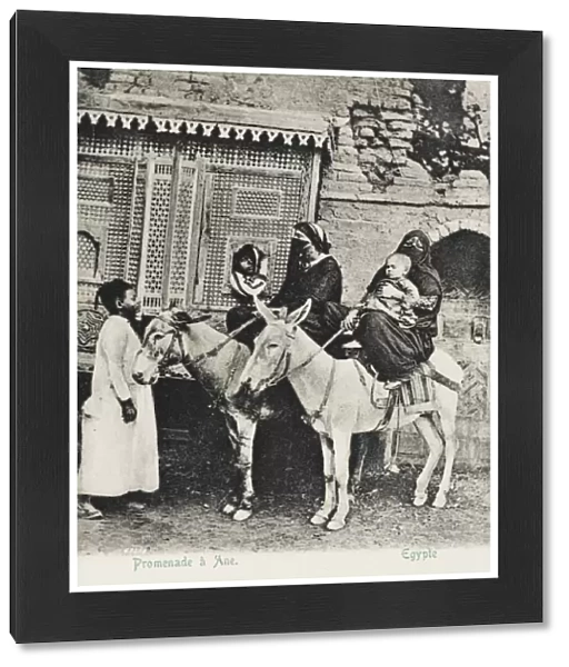 Egypt - Cairo - Donkey Ride