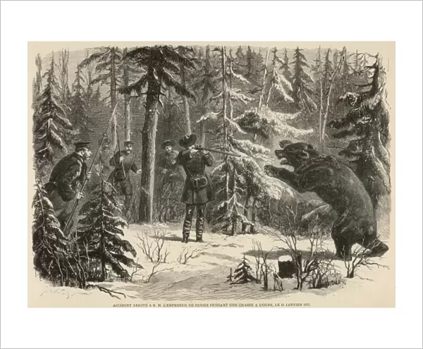 Shooting a bear