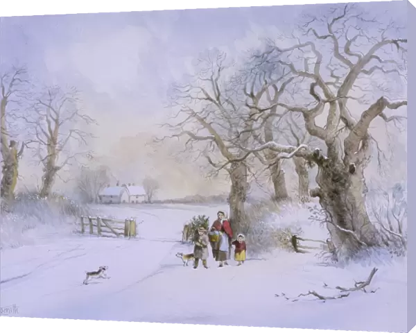 Rural scene in winter with snow on the ground