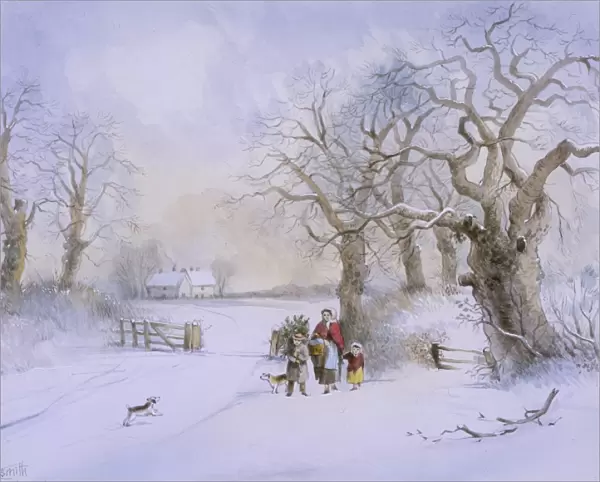 Rural scene in winter with snow on the ground