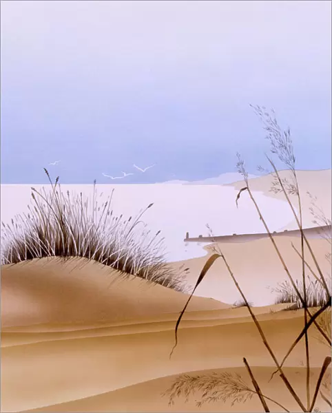 Dune Grass - Picture 1 of 2