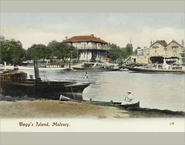 Taggs Island, Molesey