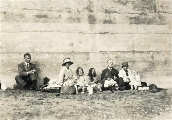 Large family group having a picnic