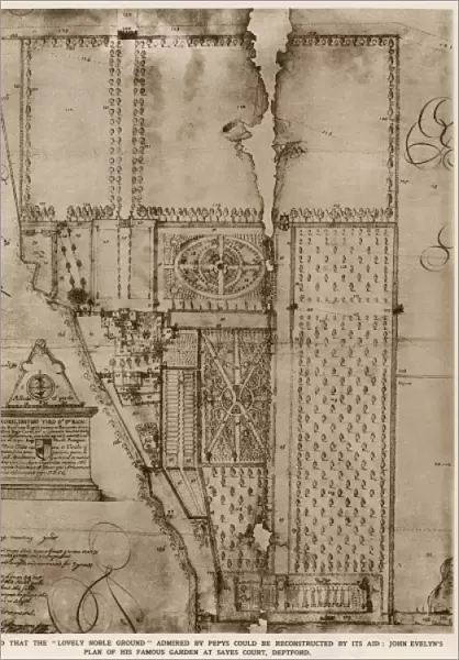 Plan of John Evelyns garden