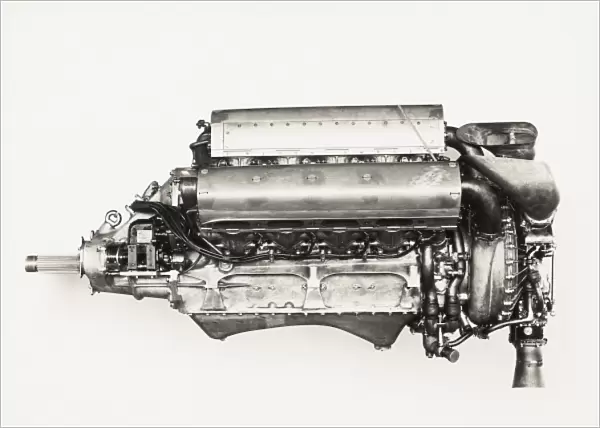 Lion VIID engine